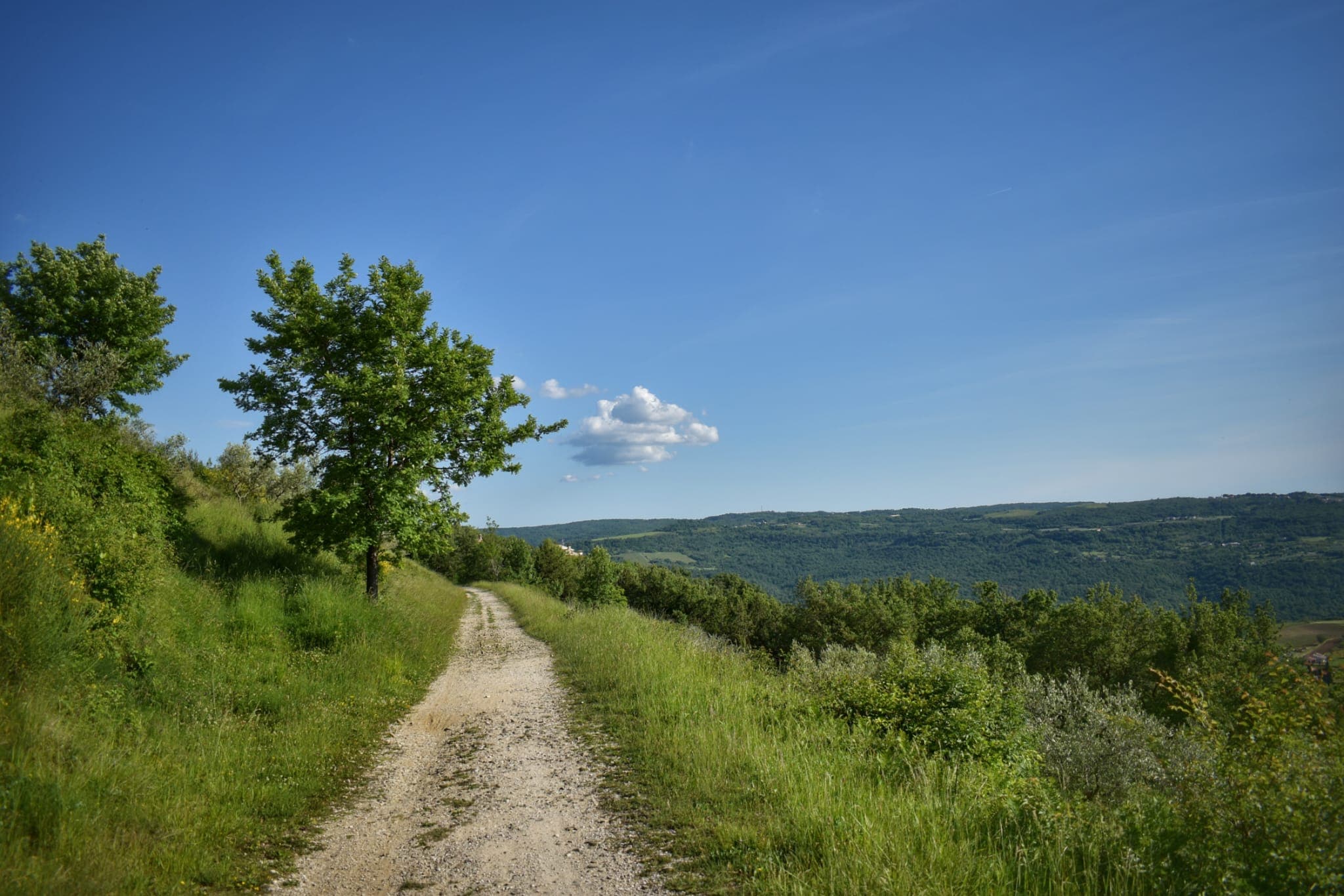 Setnica Istra